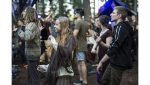 Kosmos Festival, Ristiina, metsäfestivaali