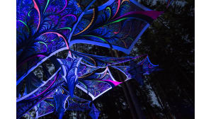 Kosmos Festival, Ristiina, metsäfestivaali
