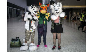 Animecon, cosplay