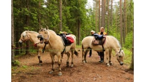 Yllätys metsässä