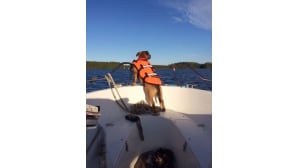 Veneretki Enonvedellä