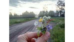 Kesäkuvakisa 2015