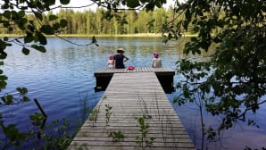 Kesäkuvakisa 2015