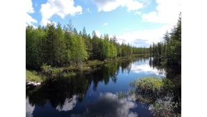 Kesäkuvakisa 2015