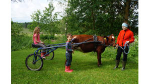 Kesäkuvakisa