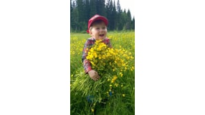 Kesäkuvakisa 2015