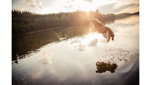 Kesäkuvakisa 2015.