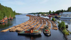 Kesäkuvakisa
