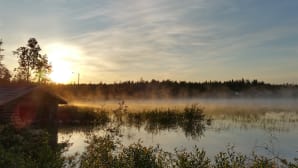 Kesäkuvakisa 2015
