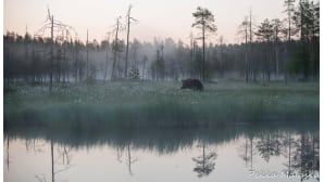Kesäkuvakisa 2015