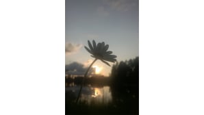 Kesäkuvakisa 2015