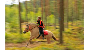 Kesäkuvakisa
