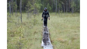 Kesäkuvakisa