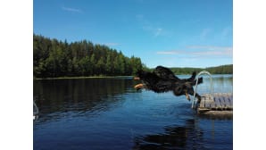 Kesäkuvakisa heinäkuu 2015