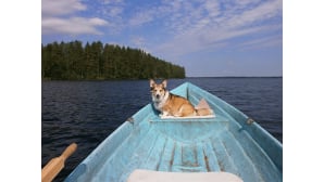 kesäkuvakisa
