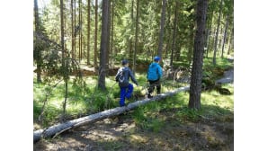 kesäkuvakisa