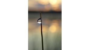 kesäkuvakisa