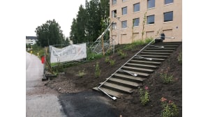 Myrskyvahinkoja Helsingin Viikissä.