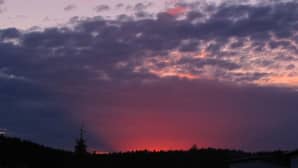 Ujo auringonlasku.