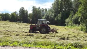 Heinänteossa aurinkoisessa säässä.