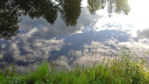 Kesäkelejä.