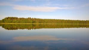 Järvimaisemat.