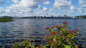 Jyväsjärvi