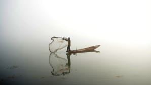 Kashmirilainen kalastaja heittää verkkonsa veteen Dal-järven sumuisessa maisemassa 13. tammikuuta.