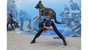 Hongkongilainen koirapoliisiryhmä esittää taitojaan.