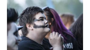 Rockfest, yleisöä