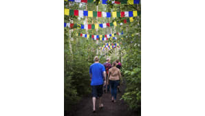 Kosmos Festival, Ristiina, metsäfestivaali , dekoraatio