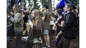 Kosmos Festival, Ristiina, metsäfestivaali