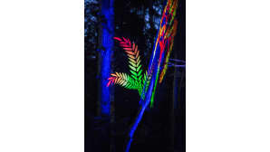 Kosmos Festival, Ristiina, metsäfestivaali,
