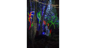 Kosmos Festival, Ristiina, metsäfestivaali