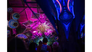 Kosmos Festival, Ristiina, metsäfestivaali