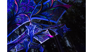 Kosmos Festival, Ristiina, metsäfestivaali