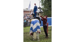 Nevan taistelu, Pietari, turnajaiset, ritari, hevonen