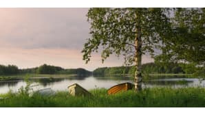 Aamu-tv:n kesäkuva