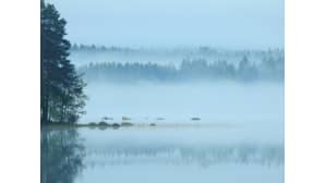 Aamu-tv:n kesäkuva