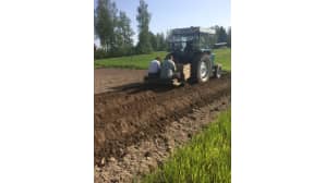 Aamu-tv:n kesäkuva
