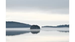 Utuinen järvimaisema.