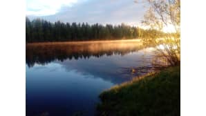 Usvaa joen pinnalla aamuauringossa.