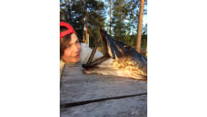 Poika katselee hauen päätä.