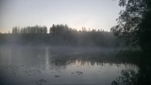 Aamu-usvaa järvellä -kuva