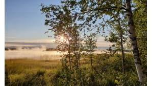 kesäkuvakisa