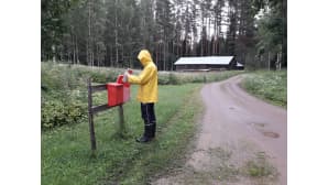 Mun aamu. Aamu-tv:n kesäkuva.