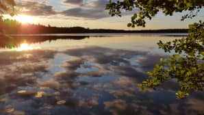 Järvimaisema.