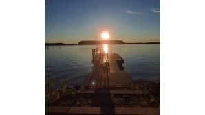Kaksi koiraa laiturilla auringonnousussa