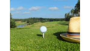 Golfpallo ja kesähattu viheriöllä, taustalla metsämaisema.