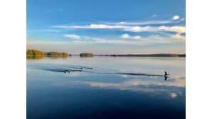 Lintuja järven pinnassa.